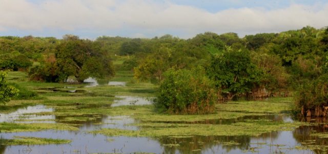 Llanos – kraina wielkiej wody, część I