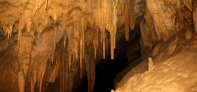 Podróż w głąb Ziemi śladami Humbolda czyli Cueva de los Guácharos
