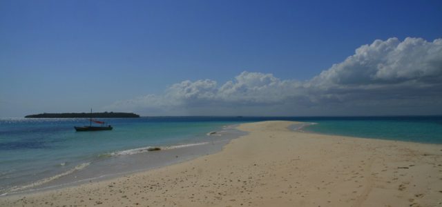 Menai Bay czyli raj po czyśćcu